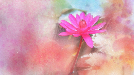 watercolor painting of pink water lily, lotus : Illustrationの写真素材