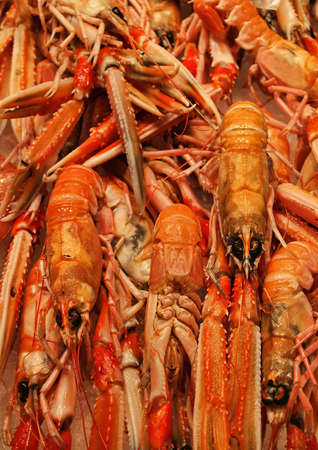 Langostinesの写真素材