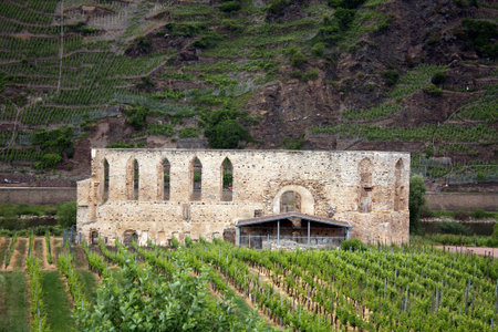 Ruins of Augustinian Monastery Stuben of the 12th century at Bremm in Germanyの写真素材