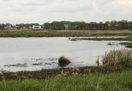Nature reserve "De Onlanden" near the city of Groningen. the Netherlandsの写真素材