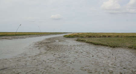 View over the salt marshes in the harbor of Noordpolderzijl. The Netherlandsの写真素材