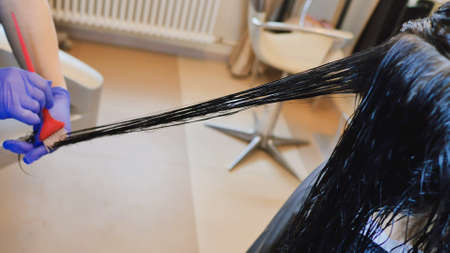 Hair care in the beauty salon, hair treatment and straightening.の写真素材