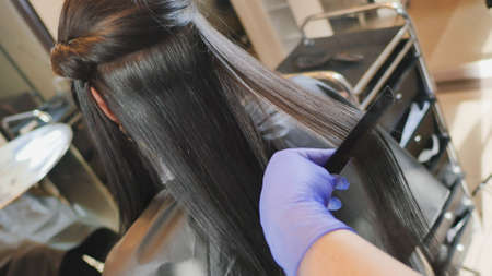 Hair care in the beauty salon, hair treatment and straightening.の写真素材