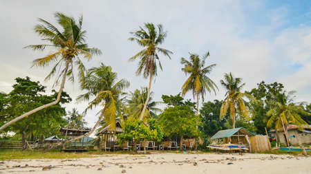 Filipino village with palm trees. Beach. Bohol Island. Philippines.の写真素材