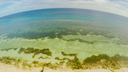 The ocean coast with beautiful coral reefs and views. Aerial view.の写真素材