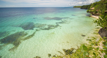 The tropical coast of the island of Bohol with corals. Philippines.