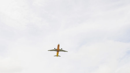 The plane flies in the sky in cloudy weather.