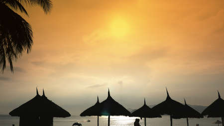 Silhouettes of beach chairs in the evening sky in Vietnam with palm trees. View of umbrellas from a creek on the beach during sunset.の写真素材