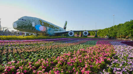 Dubai, UAE - December 14, 2019: Dubai miracle garden: the worlds largest natural flower garden. Setting real aircraft structure covered with flowersのeditorial素材