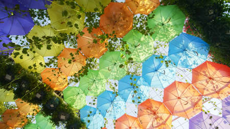 Multi-colored umbrellas in the park of the cityの写真素材