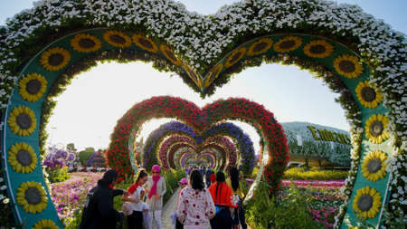 Dubai, UAE - December 14, 2019: Heart shaped flower beds at the Alley of Hearts. Dubai Miracle Garden is famous for its extraordinary flower installations. A couple of people walking around at the park.のeditorial素材