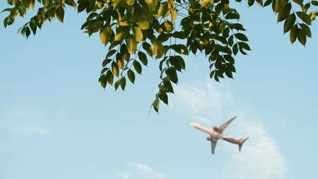 Airplane taking off against the background of hanging tree branches in Indonesia.の写真素材