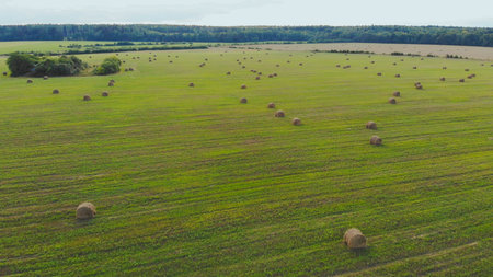 Aerial view of a mowed field of wheat with abandoned sheaves of straw