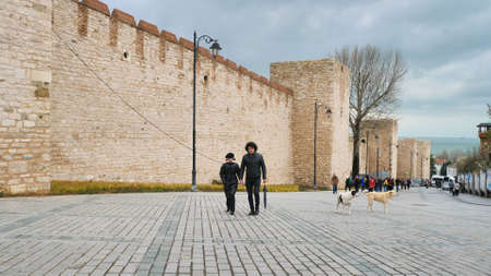 Istanbul, Turkey - January 8, 2020: The Walls of Salutation, Topkapi Palace.のeditorial素材