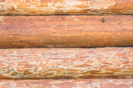 House wall in the village. Russian masonry of logs in the southern Urals.の写真素材