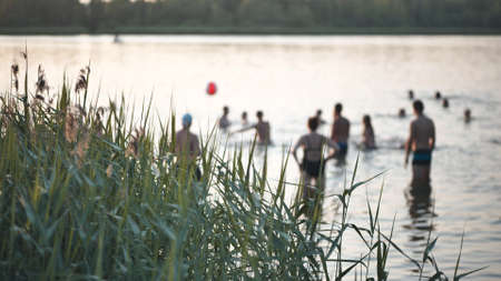 Swimming people on the city lake and against the background of the grass.の写真素材