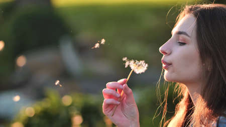 A young girl gently looks at the dandelion flower and blows it away.の写真素材