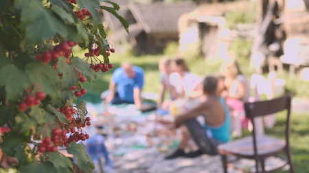 A family picnic of adults in the countryside against the backdrop of a red berry tree.の写真素材
