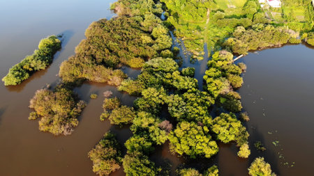 Nature on the Amur River in Russia. Aerial view.の写真素材