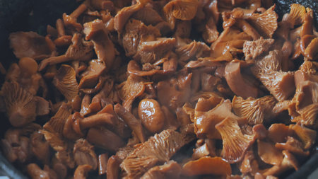 Chanterelles mushrooms are fried in a pan.の写真素材