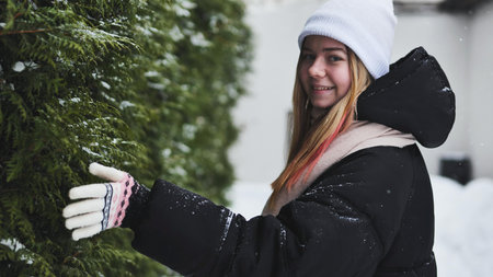 A girl walks by a thuja tree in winter and touches the branches of the tree with her hand.