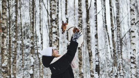 A girl drops off her Jack Russell Terrier dog in the woods in winter.の写真素材