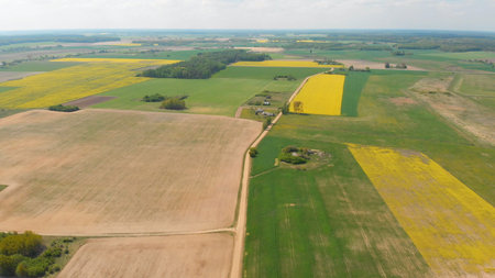 Aerial view of the fields of Belarus in May with rapeseed fields.