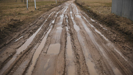 Broken country dirt road with a swamp.