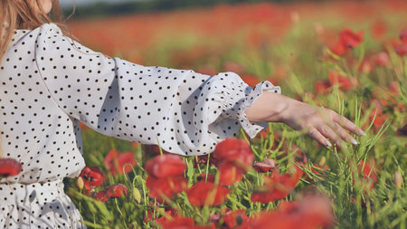 Woman in dotted white dress caressing red poppies during golden hour landscapeの写真素材