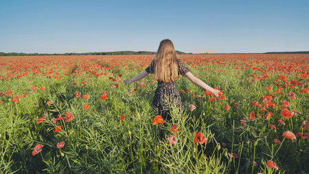 Blonde female striding confidently through vibrant poppy field, wearing elegant black evening gownの写真素材