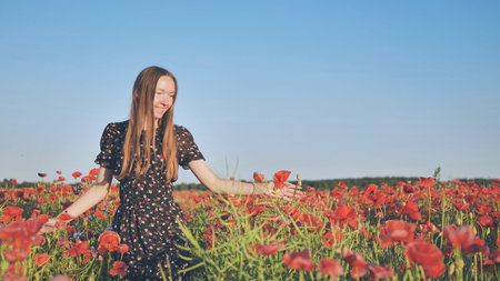Cheerful female wandering amid blooming red poppy field, caressing delicate petals under bright...