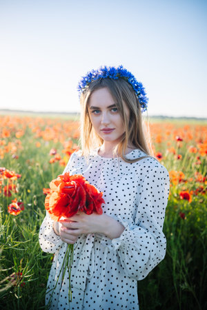 Young woman wearing cornflower wreath, holding bright poppy bouquet, standing amid flowering poppy landscapeの写真素材