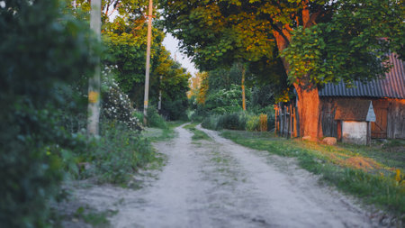 Gravel road winding through verdant landscape, revealing picturesque village illuminated by golden sunset lightの写真素材