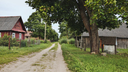 Black cat walking along dusty rural road, passing weathered wooden houses amid verdant countryside landscapeの写真素材