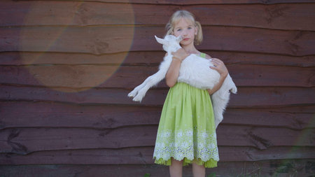 6 year old girl holding a small goat in her arms.の写真素材