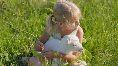 A six-year-old girl in a meadow gently hugs a small white goat.の写真素材