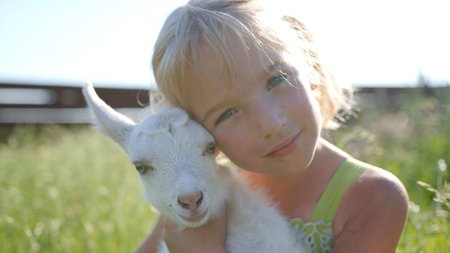 A six-year-old girl in a meadow gently hugs a small white goat.の写真素材