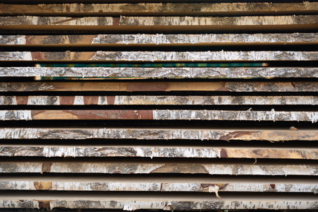 Rough hewn lumber displaying raw wood texture, revealing natural grain patterns perfect for woodworking and construction materialsの写真素材