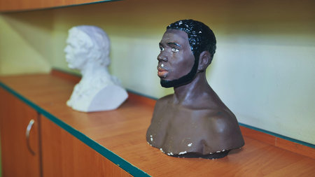 Two plaster busts, one white and one black, stand on a shelf, possibly in a classroom or art studio, representing diversity and artistic studyの写真素材