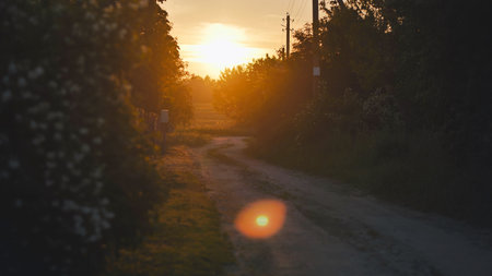 Scenic dirt road winding through the peaceful countryside at sunset, surrounded by lush bushes and silhouetted power lines against a glowing skyの写真素材