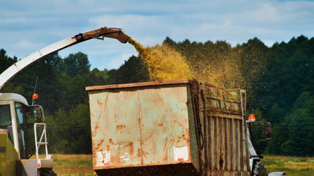 Combine harvester unloading harvested rapeseed into tractor trailerの写真素材