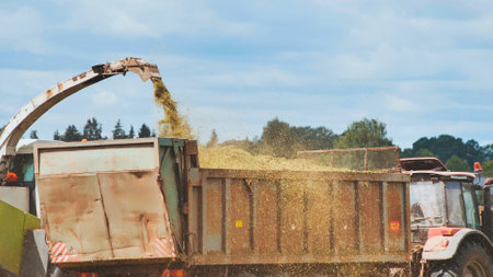Combine harvester unloading harvested silage crops into tractor trailerの写真素材