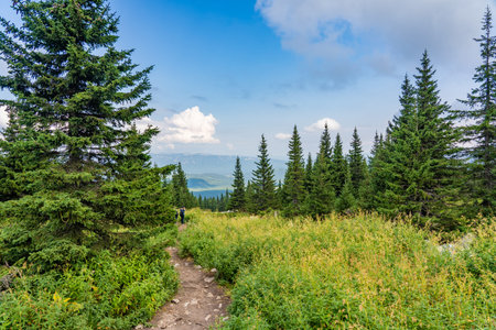Forests and mountains of the Southern Urals near the village of Tyulyuk in Russia. Drone view.
