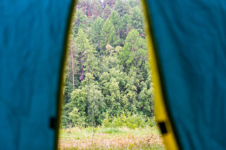 View from inside a camping tent revealing a beautiful, tranquil forest, perfect for a peaceful getawayの写真素材