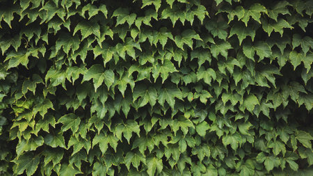 Lush green leaves form a vibrant natural tapestry, creating a beautiful backdrop in the landscapeの写真素材