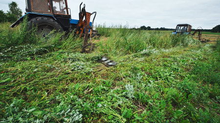 Farmers mowing grass with tractors in field