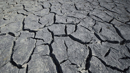 Dry cracked soil forming a beautiful pattern due to the lack of water in the sivash lake near the...