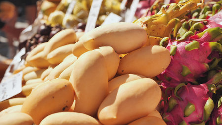 Ripe mangoes and dragon fruit for sale at an outdoor market in India