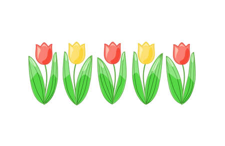 Cute vector tulips on a white background. For decoration, postcards, and illustrations.のイラスト素材