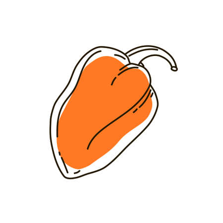 Bulgarian pepper outline on a white background. Icon. Vector illustration.のイラスト素材